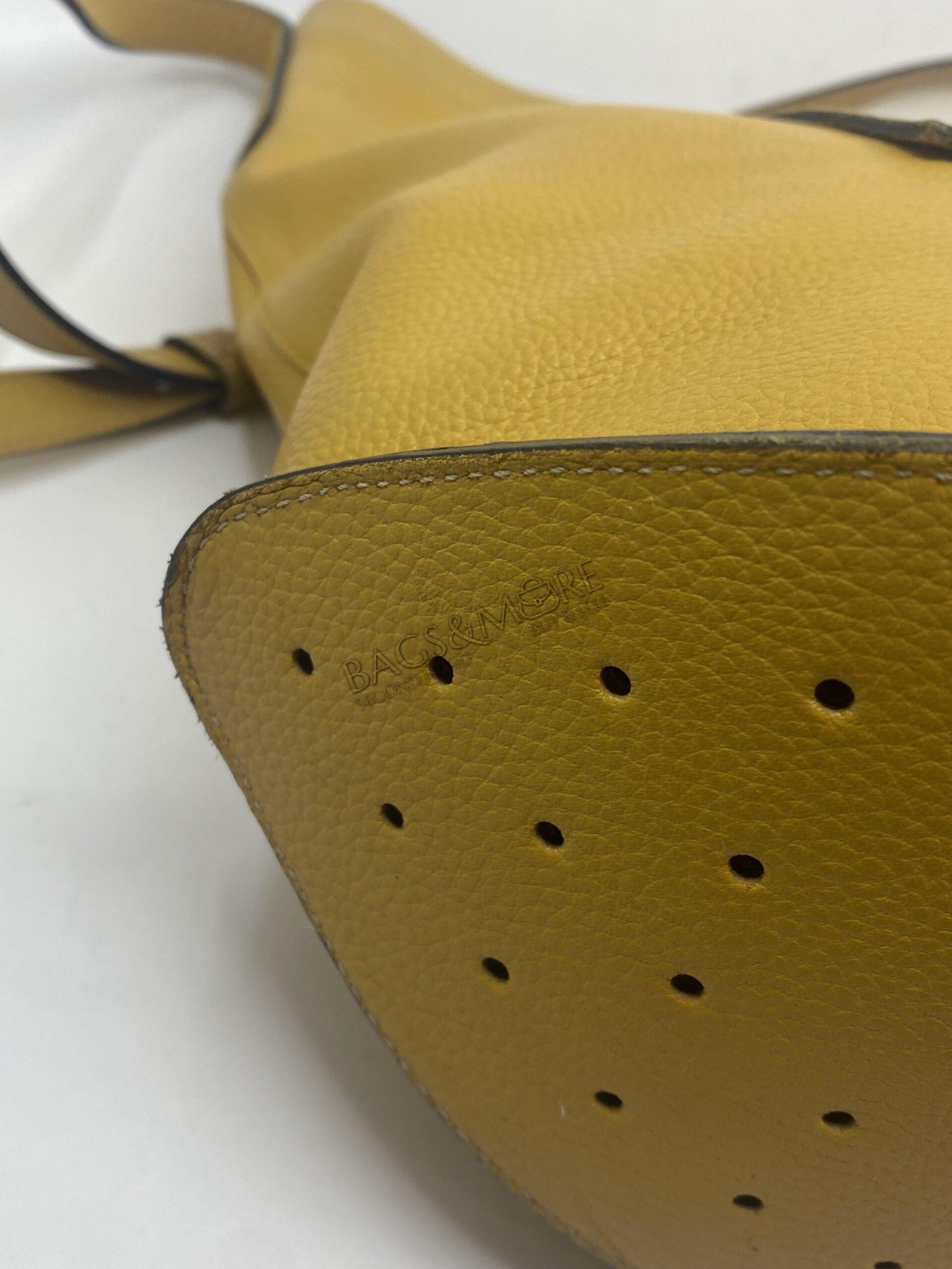 Delvaux pin schoudertas kleur Houblon met goudkleurige hardware PRICE DROP