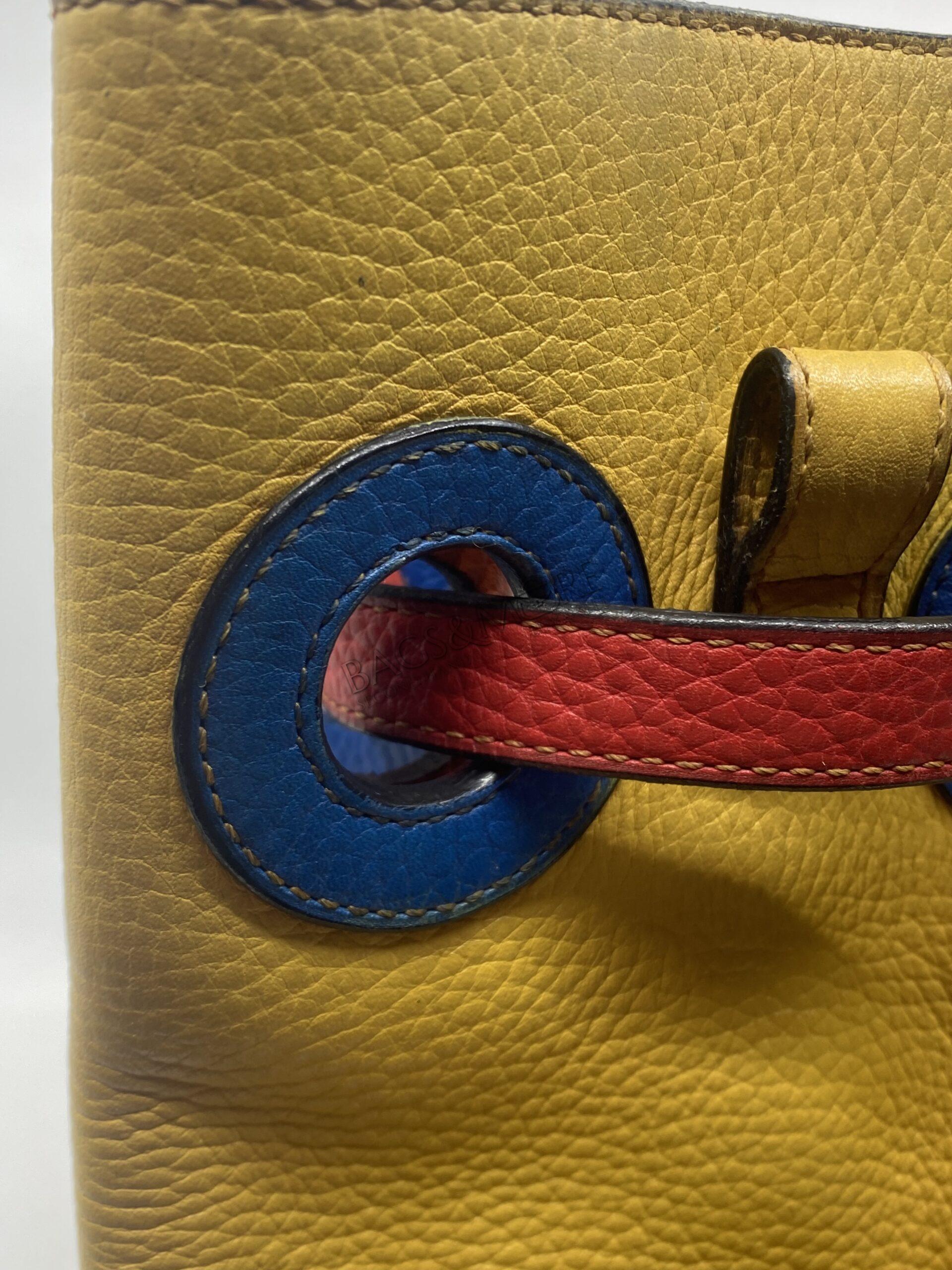 Delvaux Bucket Bag Olivier multi color met goudkleurige hardware