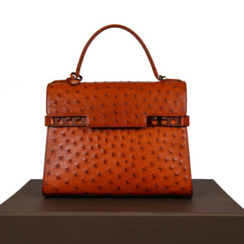 Delvaux Tempête MM +B ostrich kleur brandy piece metallique pétrole